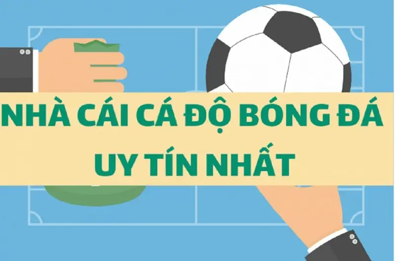 Nhà cái uy tín cá cược World Cup 2022